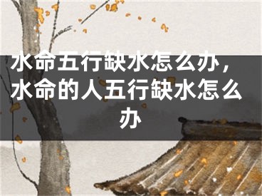 水命五行缺水怎么办,水命的人五行缺水怎么办