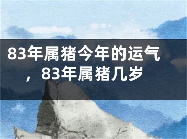 83年属猪今年的运气，83年属猪几岁