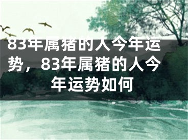 83年属猪的人今年运势，83年属猪的人今年运势如何