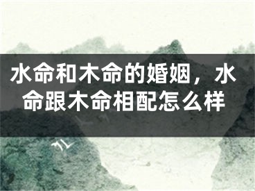 水命和木命的婚姻,水命跟木命相配怎么样