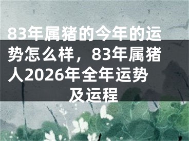 83年属猪的今年的运势怎么样，83年属猪人2026年全年运势及运程