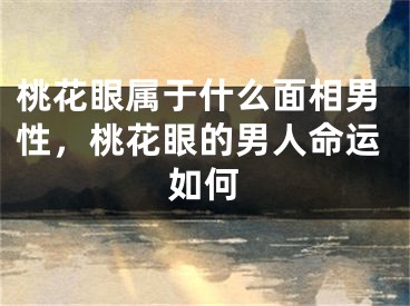 桃花眼属于什么面相男性,桃花眼的男人命运如何