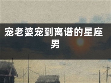 宠老婆宠到离谱的星座男