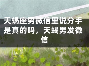 天蝎座男微信里说分手是真的吗，天蝎男发微信