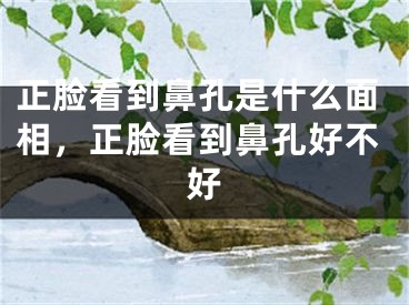 正脸看到鼻孔是什么面相，正脸看到鼻孔好不好