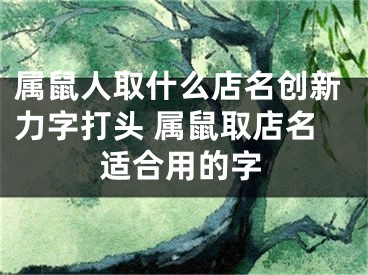 属鼠人取什么店名创新力字打头 属鼠取店名适合用的字