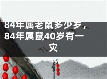 84年属老鼠多少岁，84年属鼠40岁有一灾