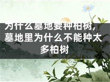 为什么墓地要种柏树,墓地里为什么不能种太多柏树