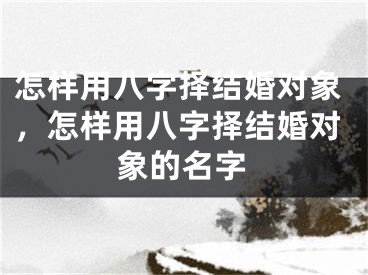 怎样用八字择结婚对象,怎样用八字择结婚对象的名字
