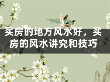 买房的地方风水好,买房的风水讲究和技巧