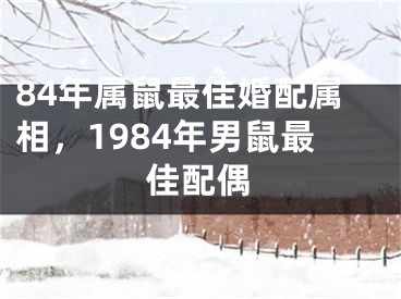 84年属鼠最佳婚配属相，1984年男鼠最佳配偶