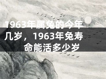 1963年属兔的今年几岁，1963年兔寿命能活多少岁