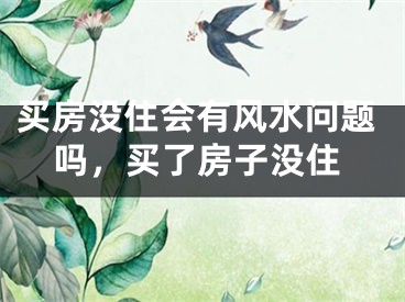 买房没住会有风水问题吗，买了房子没住