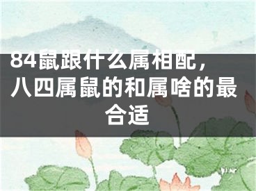 84鼠跟什么属相配，八四属鼠的和属啥的最合适