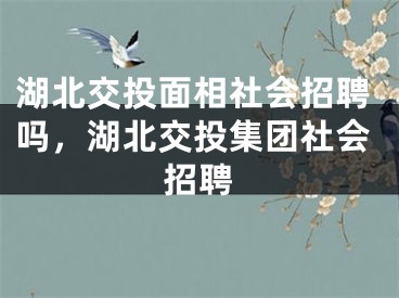 湖北交投面相社会招聘吗，湖北交投集团社会招聘