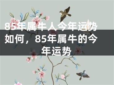 85年属牛人今年运势如何，85年属牛的今年运势