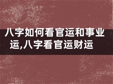 八字如何看官运和事业运,八字看官运财运