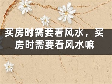 买房时需要看风水，买房时需要看风水嘛