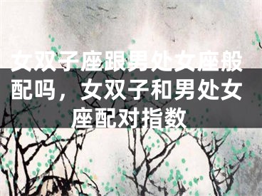 女双子座跟男处女座般配吗，女双子和男处女座配对指数
