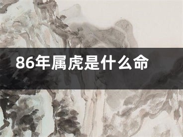 86年属虎是什么命