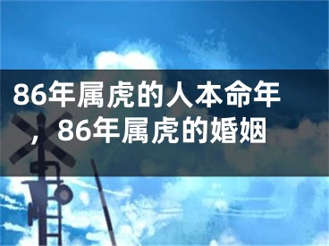 86年属虎的人本命年,86年属虎的婚姻