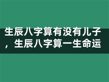 生辰八字算有没有儿子,生辰八字算一生命运
