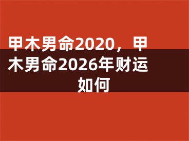 甲木男命2020,甲木男命2026年财运如何