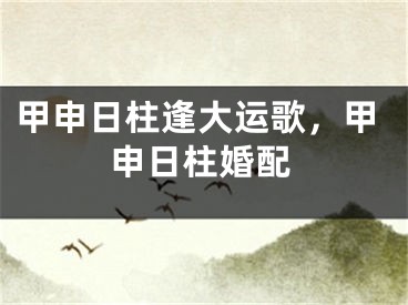 甲申日柱逢大运歌,甲申日柱婚配