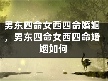 男东四命女西四命婚姻,男东四命女西四命婚姻如何
