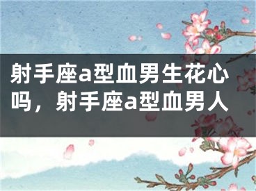 射手座a型血男生花心吗,射手座a型血男人