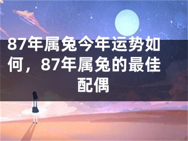 87年属兔今年运势如何，87年属兔的最佳配偶