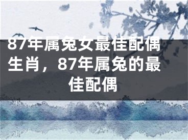 87年属兔女最佳配偶生肖，87年属兔的最佳配偶