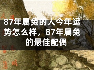 87年属兔的人今年运势怎么样，87年属兔的最佳配偶