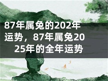 87年属兔的202年运势，87年属兔2025年的全年运势