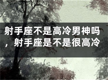 射手座不是高冷男神吗,射手座是不是很高冷