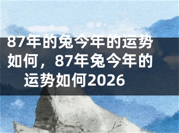 87年的兔今年的运势如何,87年兔今年的运势如何2026