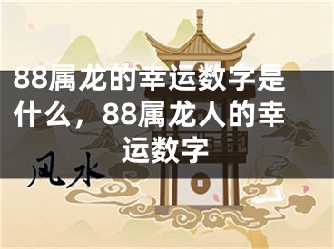 88属龙的幸运数字是什么，88属龙人的幸运数字