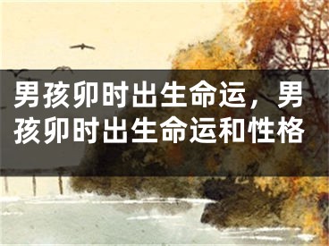 男孩卯时出生命运，男孩卯时出生命运和性格