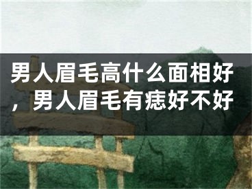 男人眉毛高什么面相好,男人眉毛有痣好不好
