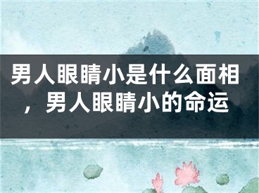 男人眼睛小是什么面相,男人眼睛小的命运