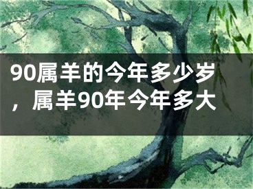 90属羊的今年多少岁，属羊90年今年多大