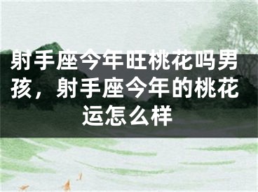 射手座今年旺桃花吗男孩,射手座今年的桃花运怎么样