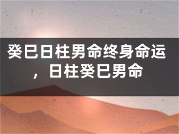 癸巳日柱男命终身命运，日柱癸巳男命