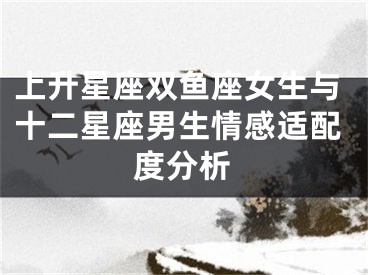 上升星座双鱼座女生与十二星座男生情感适配度分析