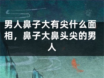 男人鼻子大有尖什么面相,鼻子大鼻头尖的男人