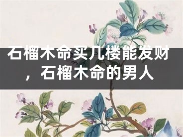 石榴木命买几楼能发财,石榴木命的男人