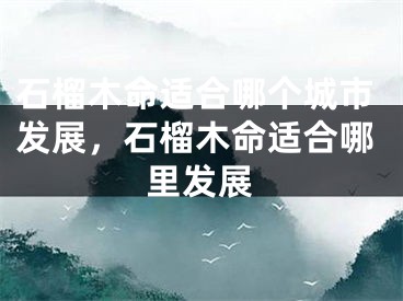 石榴木命适合哪个城市发展,石榴木命适合哪里发展