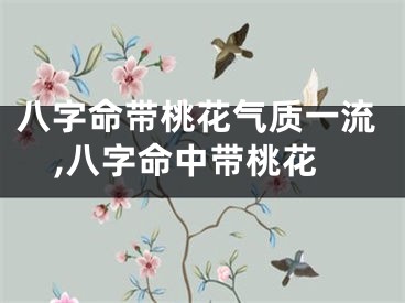 八字命带桃花气质一流,八字命中带桃花