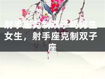 射手座克制双子吗男生女生，射手座克制双子座