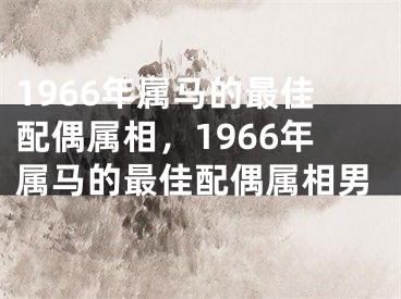 1966年属马的最佳配偶属相,1966年属马的最佳配偶属相男